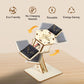 🚀DIY Solar Powered Wooden Satellite Model Science Kit🌍 (Limited to 100 units at reduced price) 🔥