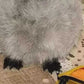 Penguin Doll Plush Toy