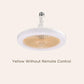 🌸LAST DAY PROMOTION - 50%OFF🌸Remote Control Aromatherapy Ceiling Fan with Light