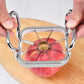 🔥Stainless Steel Apple Cutter Slicer