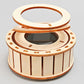 🔥2025 Hot Sale🔥Solar Powered Rotating Double Ring Wooden Puzzle Toy